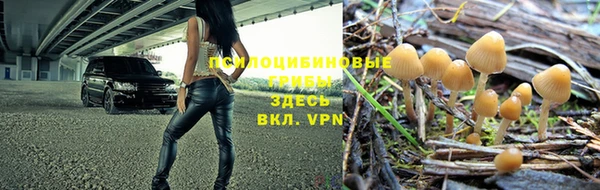 каннабис Алексин