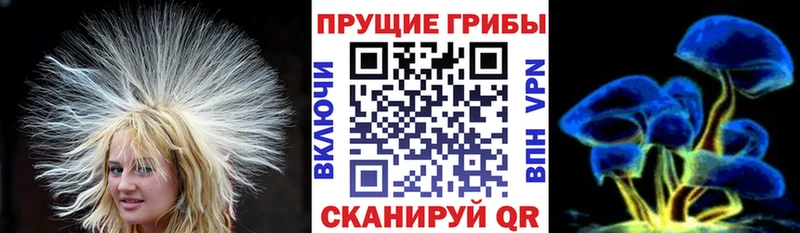 Псилоцибиновые грибы Psilocybe Билибино