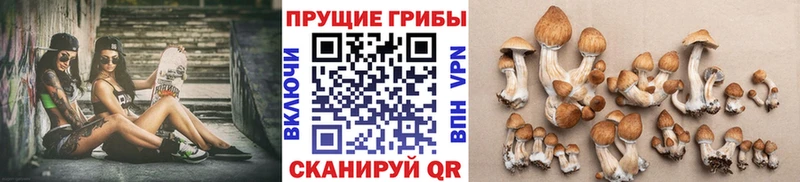 Псилоцибиновые грибы MAGIC MUSHROOMS  blacksprut вход  Билибино  закладки 